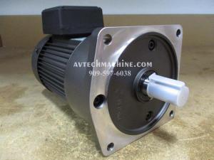 G12V200U-165 Sesame Motor Chip Auger Motor 1/4HP 3P 230/460V