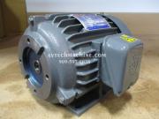 00243E04220R Chyun Tseh Industrial Electric Motor 2HP 3PH 230/460V