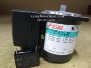 3RK15GN-CPTS Sesame Induction Reversible Motor With Thermo Switch Terminal Box 1P 220V