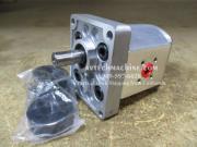EGA-6.2-R CML Camel Hydraulic Variable Vane Pump