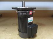 G12V400S-40 Sesame Motor Chip Auger Motor 1/2HP 3P 220/380V