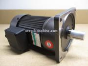 G12V400U-50 Sesame Motor Chip Auger Motor 1/2HP 3P 230/460V