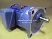 PF18-0200-40S3-T1-Y1 Tung Lee Induction Motor With Speed Reducer 1/4HP 3PH 220/380V