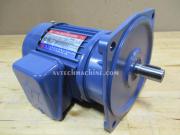 PF18A2-0100-40S3 Tung Lee Induction Motor With Speed Reducer 1/8HP 3PH 220/380V