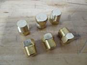 PG100A01 Chen Ying Closure Plug Outer-Thread PT1/8