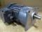 CV200-50SZF-SPA186 CPG Cheng Pang Induction Gear Motor 1/4HP Ratio 1:50