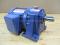 PL22-0100-165S4-X Tung Lee Induction Motor With Speed Reducer 1/8HP 3PH 230/460V